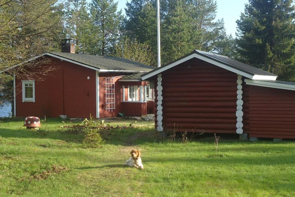 Lysti Cottage By The Lake And Magical Countryside Rovaniemi Exterior photo