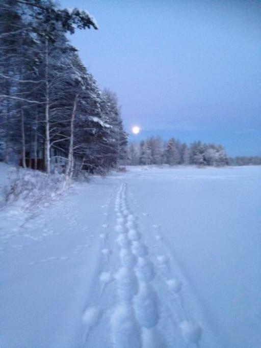 Lysti Cottage By The Lake And Magical Countryside Rovaniemi Exterior photo